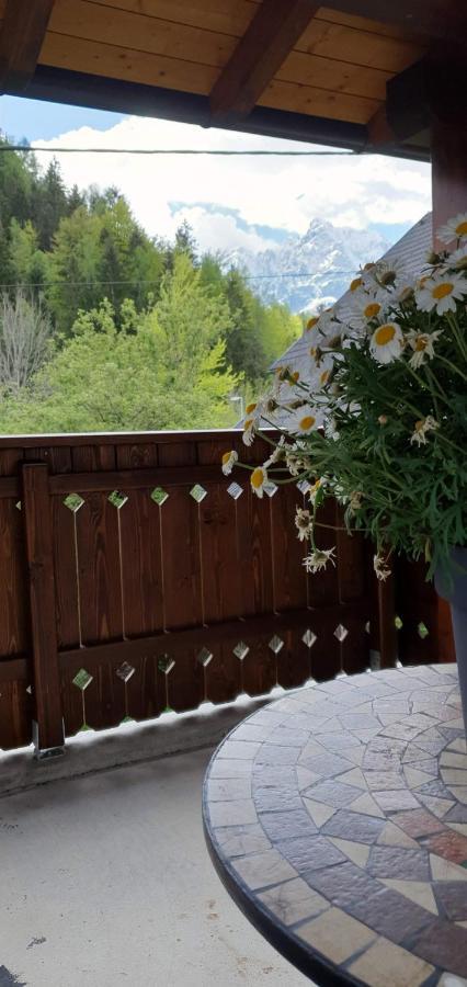Apartment Alpska Astra Kranjska Gora Luaran gambar